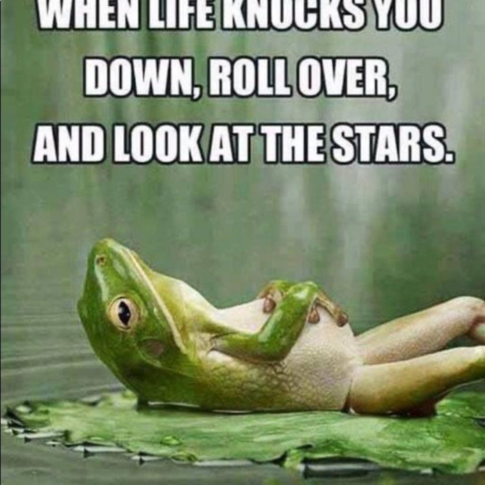 Meet your Posher, Kristen